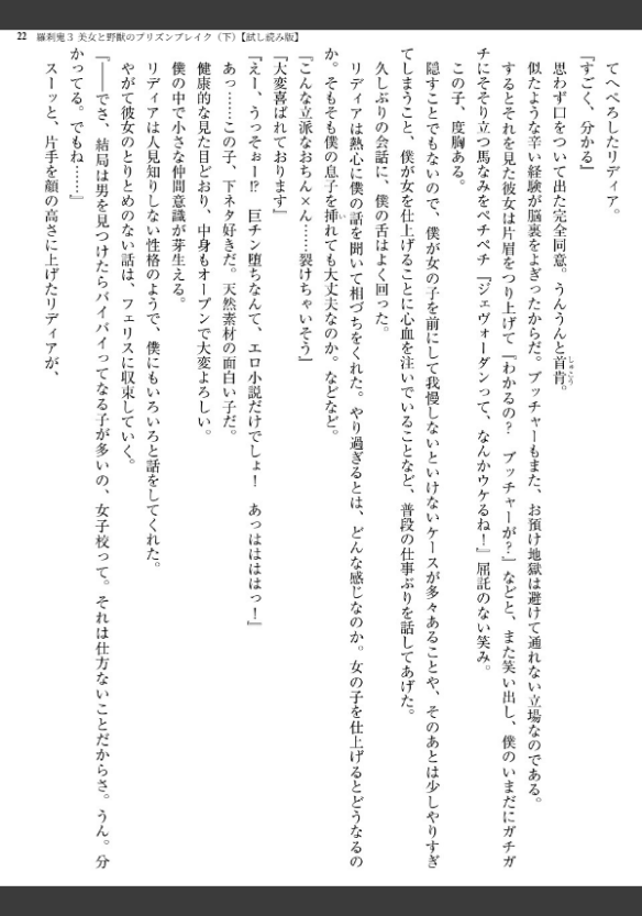 Image 22