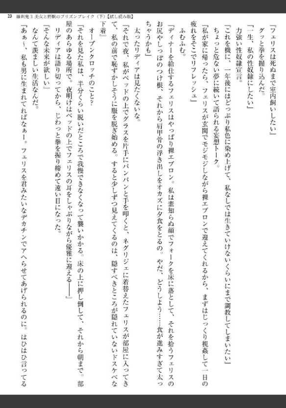 Image 23