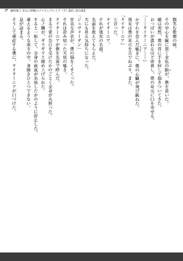 Image 27