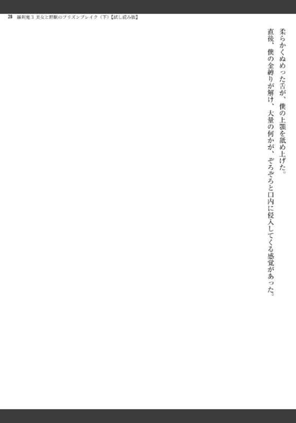 Image 28
