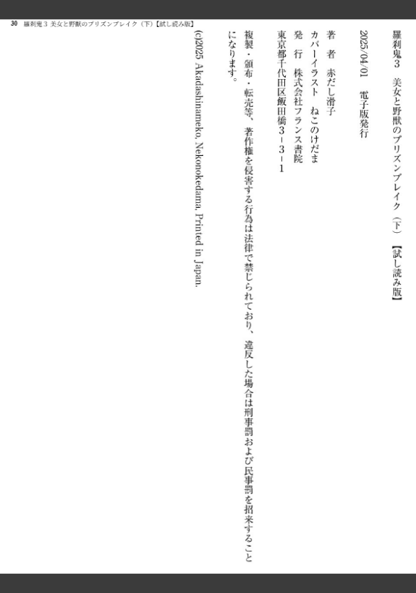 Image 30