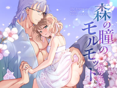 あなたの中に流れる美しさのリズム！森の瞳のモルモット – 第2集 –