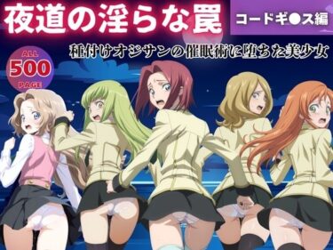 美しさの波動が心を震わせる！【無理やり】夜道の淫らな罠 〜コードギ●ス編〜