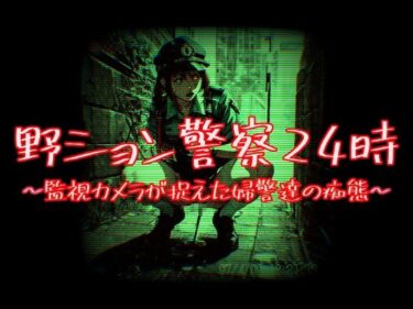 あなたの感性を揺さぶる映像！野ション警察24時〜監視カメラが捉えた婦警達の痴態〜