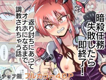 美しさが生み出す無限の想像力！暗殺任務 失敗したら即終了！  返り討ちにあってオナホになるまで調教されちゃう話