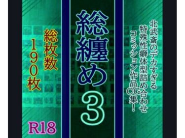 美しさが生み出す心の中の輝きの光！総纏め3