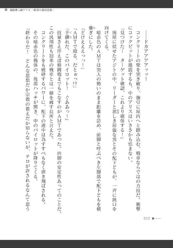 Image 10