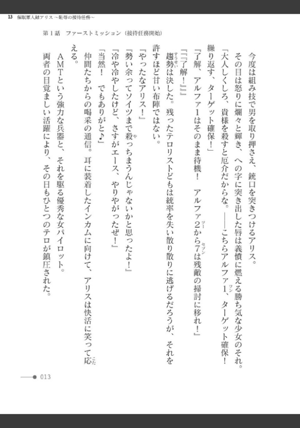Image 13