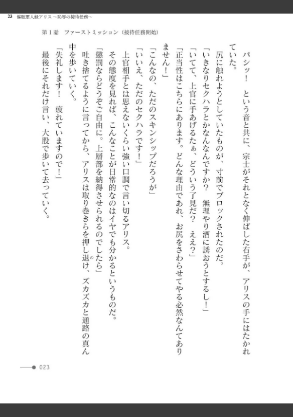 Image 23