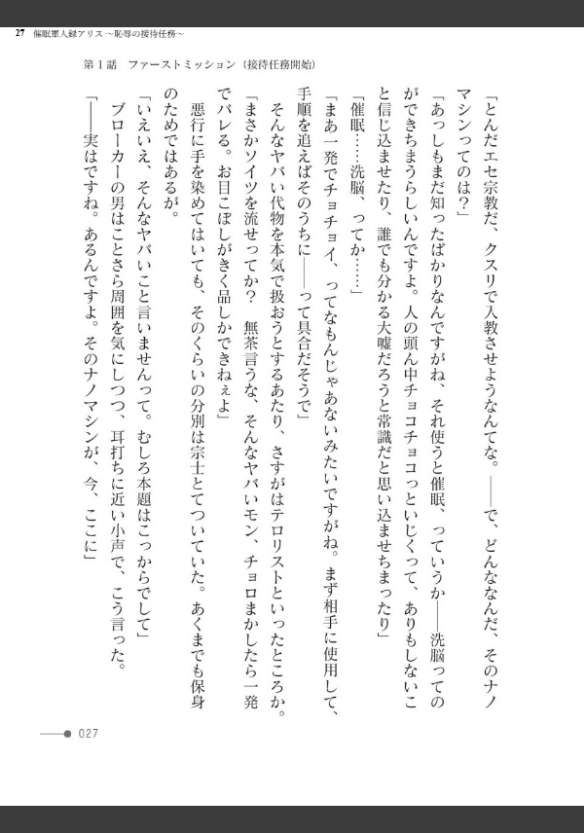 Image 27