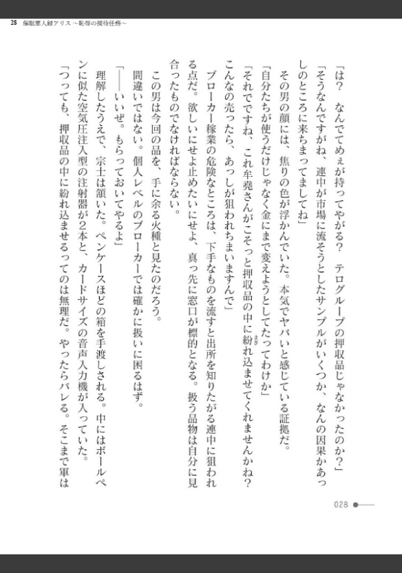 Image 28