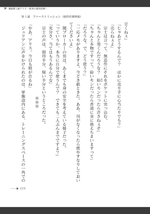 Image 29