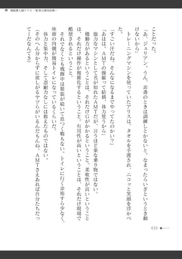 Image 30