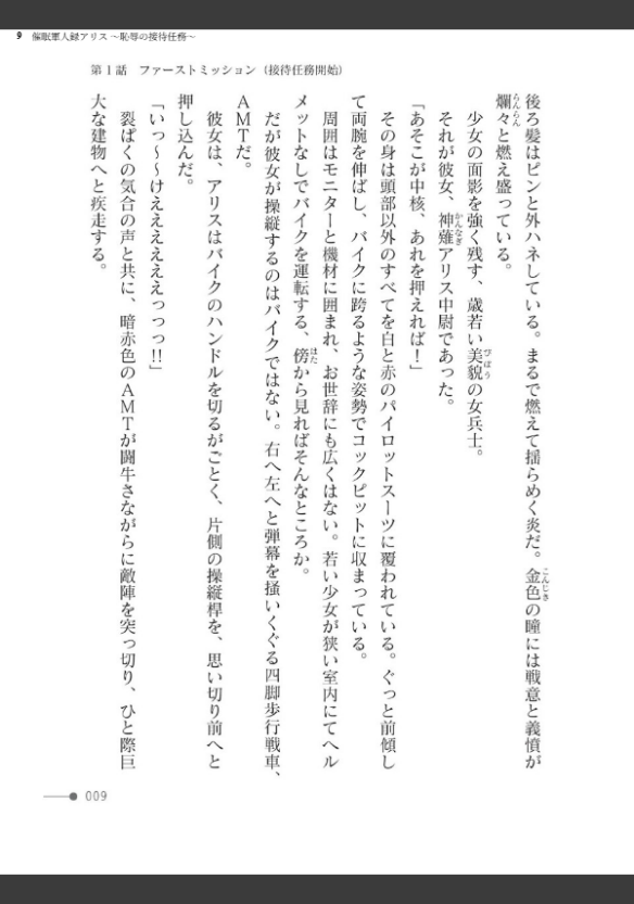 Image 9