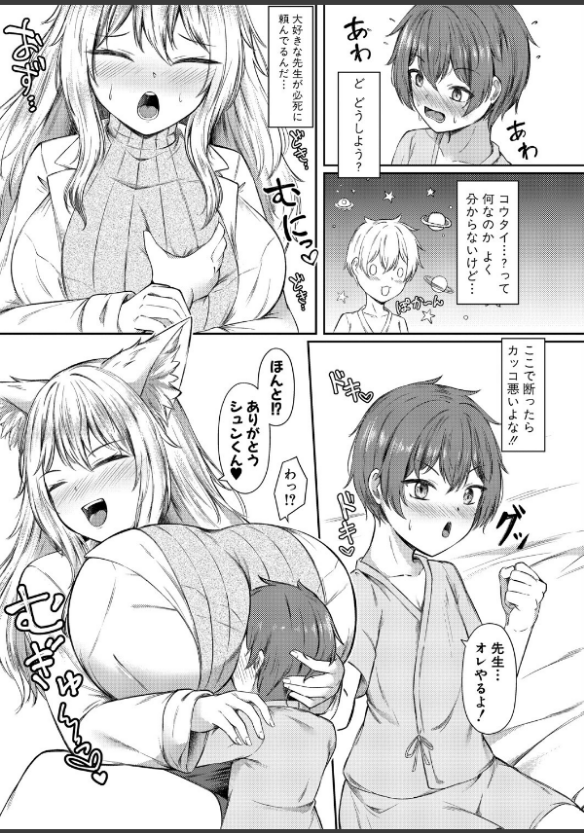 Image 5