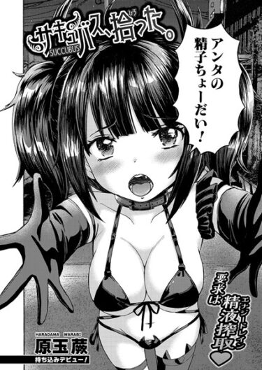 魅惑的な世界に誘う、禁断のストーリー！サキュバス、拾った。（単話）