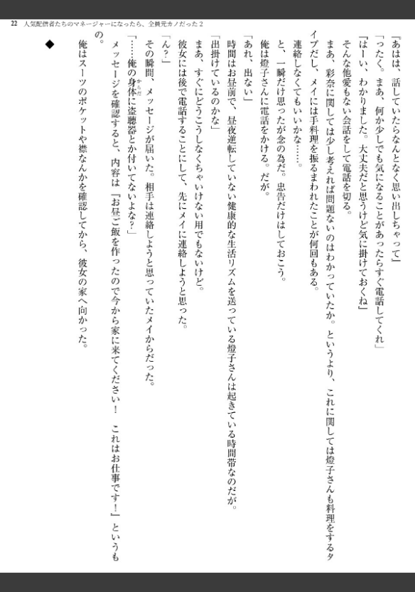 Image 22