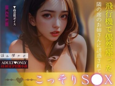 美しさが描く神秘的な力の光！飛行機で偶然座った隣の席のお姉さんに誘惑されてこっそりS●X