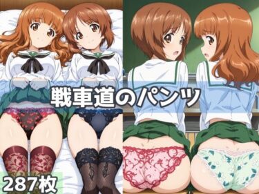 美しさが織り成す心の中の風景！戦車道のパンツ