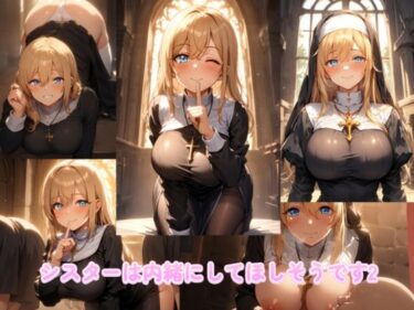 あなたの心に届く奇跡の映像！シスターは内緒にしてほしそうです2