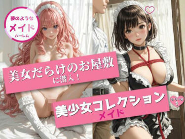 あなたを新たな美に誘う物語！美少女コレクション 〜メイドハーレム1〜