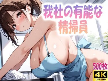 究極の美が織り成す物語！我社の有能な精掃員