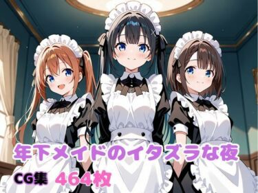 美しさが織り成す心の中の風景！年下メイドのイタズラな夜