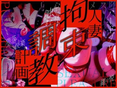 美しさが生み出す神秘的な時の流れ！人妻拘束調教計画