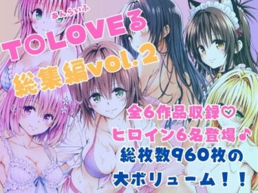 美しさが描く無限の可能性の地図！ToLOVEる総集編Vol.2