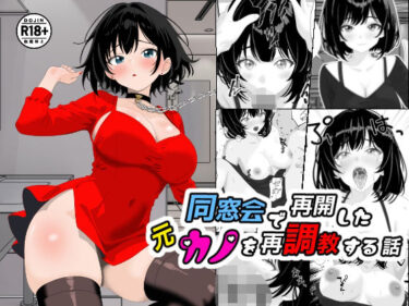 永遠に忘れられない映像の瞬間！同窓会で再開した元カノを再調教する話