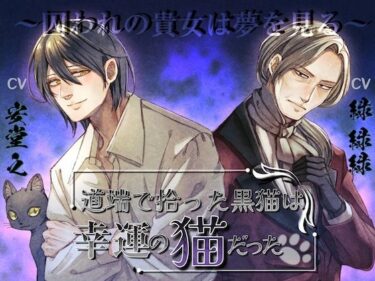あなたの心を引き寄せる美しい波動！道端で拾った黒猫は幸運の猫だった〜囚われの貴女は夢を見る〜