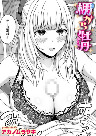 思わず息を呑む衝撃の一作！棚から牡丹（単話）