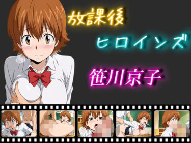 あなたの感覚を揺さぶる美しい世界！放課後ヒロインズ  笹川京子