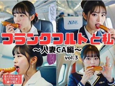 あなたの心に響く美の旋律！フランクフルトと私〜人妻CA編〜 vol.3