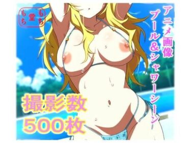 永遠に続く美の余韻を感じて！アニメ作画 アイドルグラビアプール撮影会  半脱ぎ＆下着フェチ  撮影総数500枚