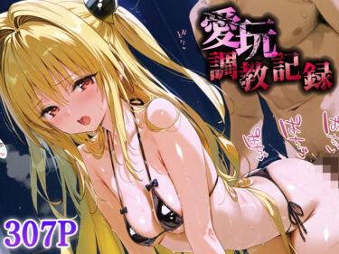 あなたの五感を震わせる一瞬！愛玩調教記録_金色の闇