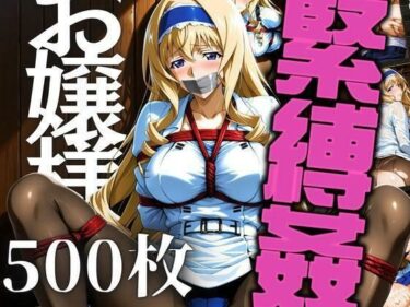 魅力があふれる究極の映像！お嬢様を緊縛姦