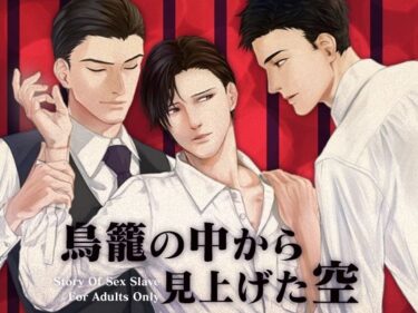 視覚を超えた美の魅力！鳥籠の中から見上げた空