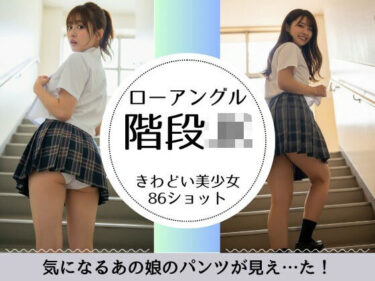 美しい時を刻む映像の軌跡！階段JK-綺麗な足と見えそうな純白パンツ-