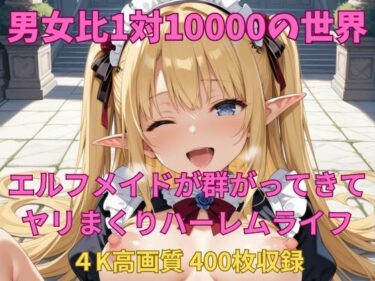 あなたを引き寄せる美の世界！男女比1対10000の世界 エルフメイドとセックスし放題でちんぽが乾く暇もないヤリ放題ハーレムライフ！！