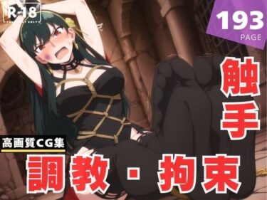 美が作り上げた壮大な物語！【調教・拘束・触手】ヨ●・フォージャー