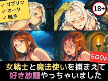 あなたの心に灯る美の光！女戦士と魔法使いを捕まえて好き放題やっちゃいました