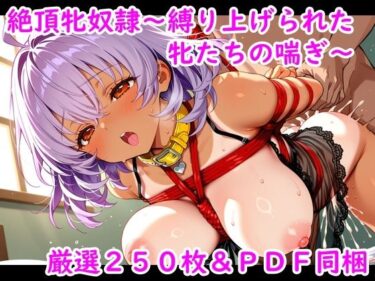 あなたの感覚を目覚めさせる美の力！絶頂牝奴●〜縛り上げられた牝たちの喘ぎ〜