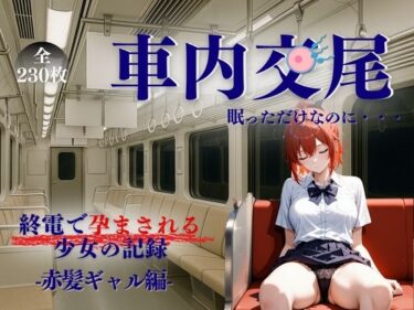 あなたの心に響く美しい響きの中で！車内交尾  赤髪ギャル編