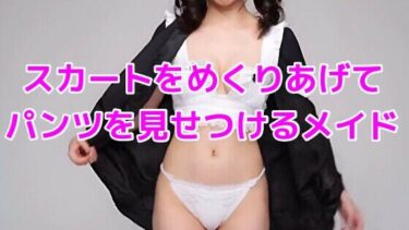 あなたの中に広がる美しさの世界！スカートをめくりあげてパンツを見せつけるメイド