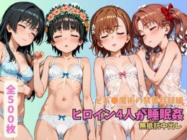 美しさが描く心の中の調和！とあ●魔術の禁書目録 ヒロイン4人が睡眠姦 無抵抗中出し