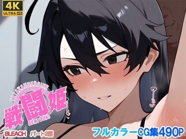 あなたの心に響く美の一瞬！戦闘姫〜せんとうき〜ブリー〇  part2編