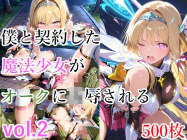 美が奏でる心の響き！僕と契約した魔法少女がオークに凌●される  vol.2