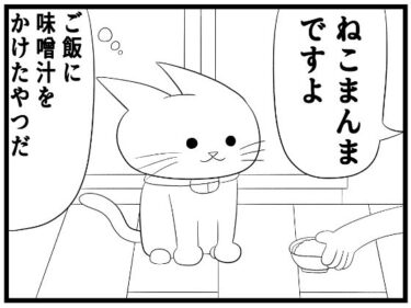 美しさが引き寄せる無限の可能性！4コマ「味噌汁」