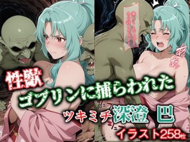 あなたを包み込む美の時間！性獣ゴブリンに捕らわれたツキミチ深● 巴